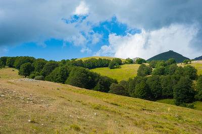 Scenic view of landscape against cloudy sky