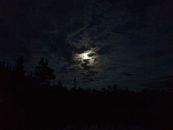 Low angle view of silhouette trees against sky at night