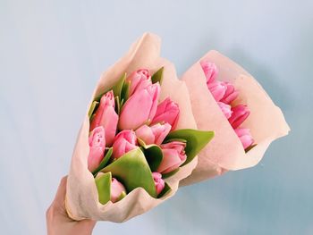 Cropped image of hand holding tulips bouquet against sky