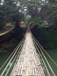 Footbridge amidst trees