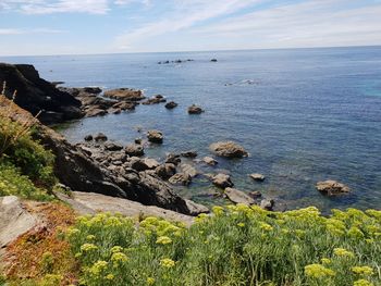 Scenic view of sea against sky