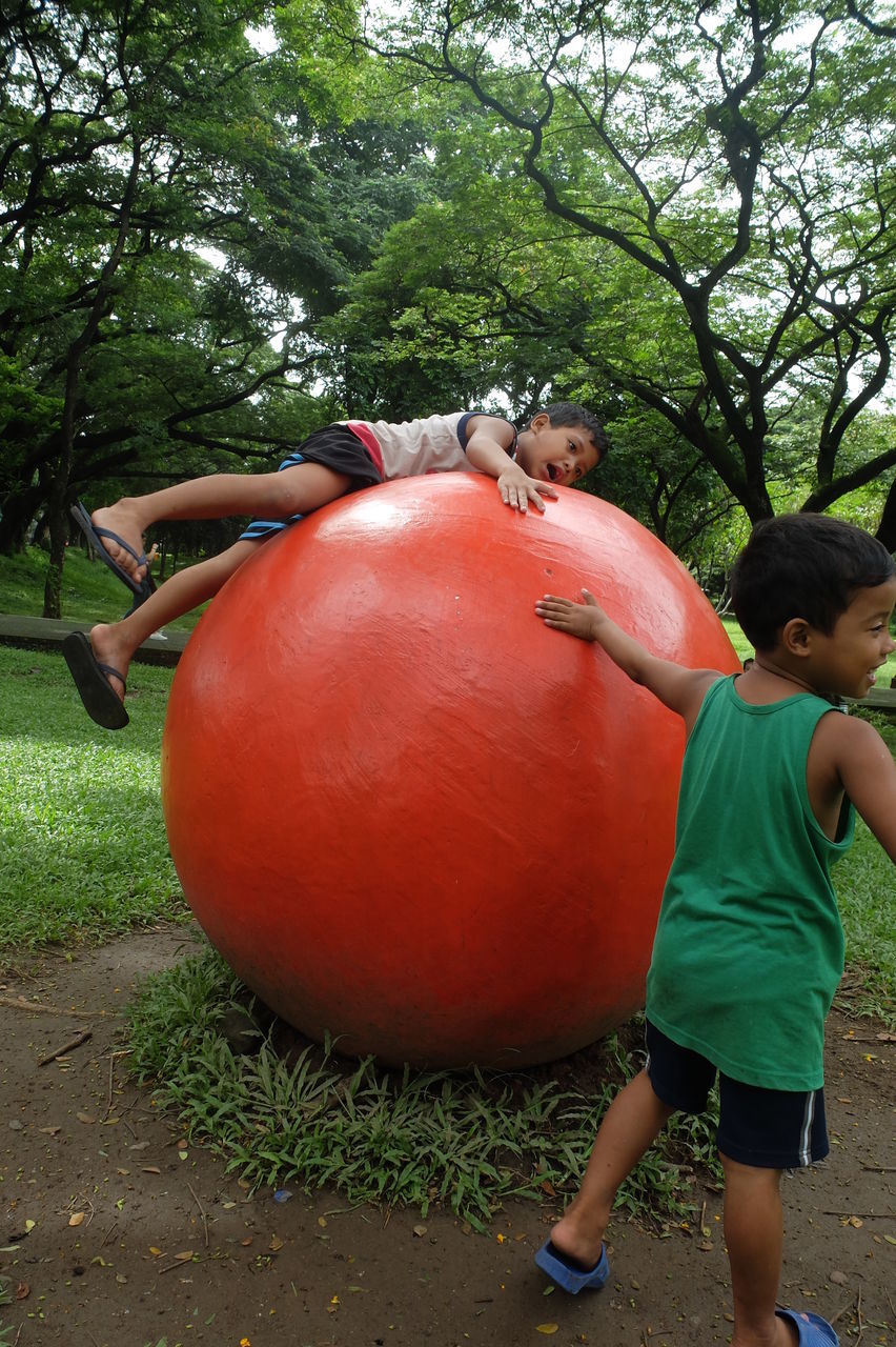 boys, tree, childhood, elementary age, growth, real people, pumpkin, day, casual clothing, two people, park - man made space, outdoors, fun, standing, girls, full length, lifestyles, halloween, togetherness