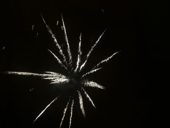 Low angle view of firework display at night