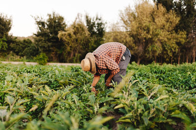 Man working on field