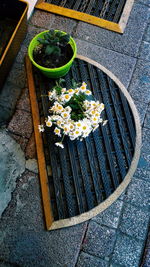 High angle view of potted plant on barbecue grill