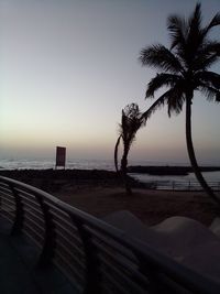 Palm trees on beach against clear sky