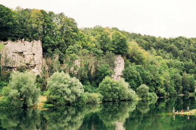 Scenic view of lake by trees against clear sky