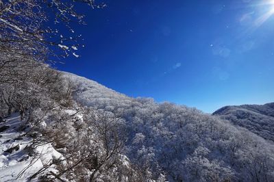 Low angle view of snowcapped mountain against blue sky