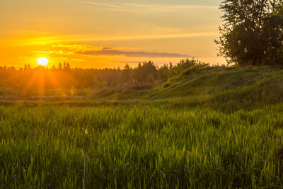 Scenic view of green landscape against sky during sunset