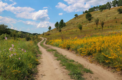 Dirt road amidst plants and trees against sky