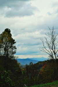 Scenic view of landscape against cloudy sky