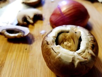 High angle view of shell on table