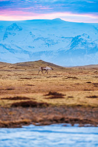 Scenic view of desert against sky