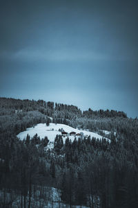 Trees on snow covered land against sky