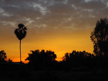 Silhouette trees against sky during sunset