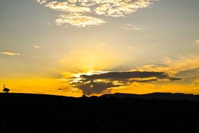 Silhouette of trees at sunset