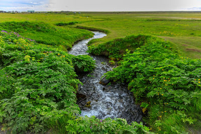 Scenic view of waterfall on field