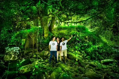 Information sign by trees in forest