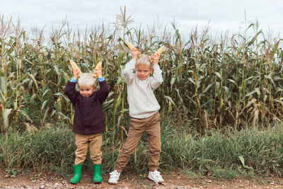 Children in corn field having fun, making horns