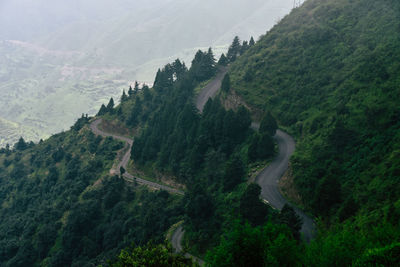 Scenic view of forest against sky