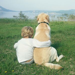 Rear view of toddler holding dog