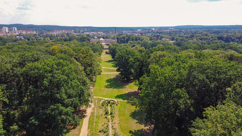 High angle view of trees on landscape against sky