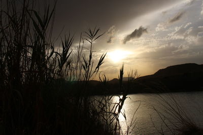 Scenic view of lake during sunset