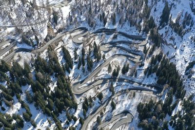 Full frame shot of tree