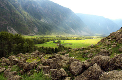 High valley with huge stones, trees and grass at sunset in summer, on the right the rays of the sun 