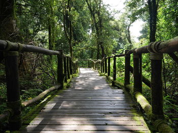 Footbridge amidst trees in forest