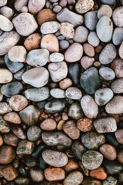 large group of objects, full frame, backgrounds, abundance, rock, wood, soil, pebble, no people, textured, pattern, gravel, day, shape, timber, nature, close-up, outdoors, forest, flooring, log