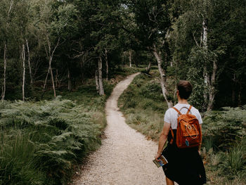 Man hiking in the new forest, uk with his back to the camera