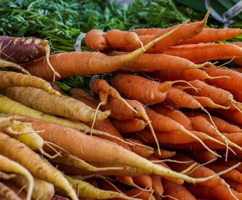 Close-up of carrots