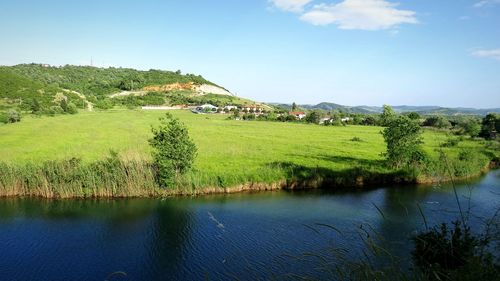 Scenic view of field against sky