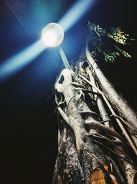 Low angle view of illuminated tree at night
