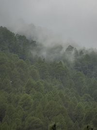 High angle view of trees and mountains against sky