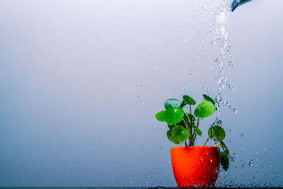 Close-up of water splashing in glass