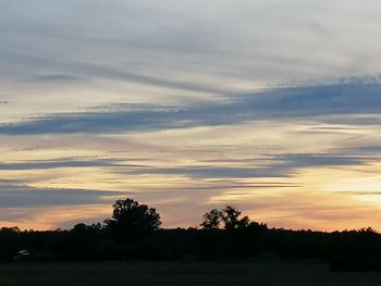 Silhouette trees on field against sky at sunset