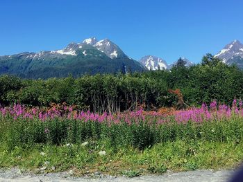 Scenic view of mountains against clear sky