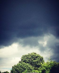 Low angle view of trees against sky