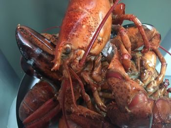 Close-up of crab on bread