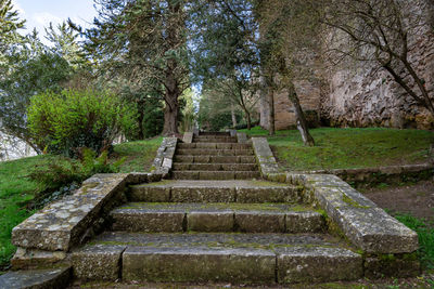 Low angle view of steps amidst trees in park