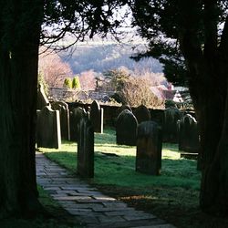 Empty footpath in park