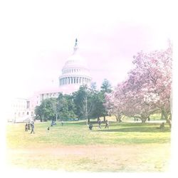 Trees in front of building