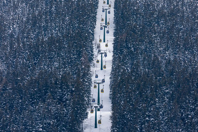 High angle view of overhead cable car amidst trees