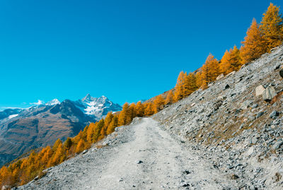 Scenic view of snowcapped mountains against clear blue sky