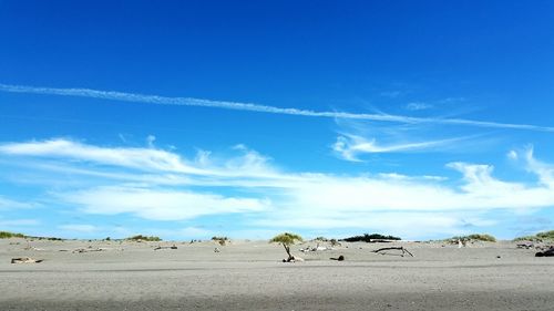 Flock of birds on landscape against blue sky