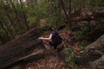 High angle view of woman in forest