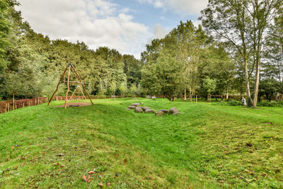 Trees on field against sky