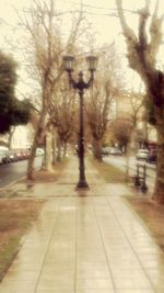 Road along trees in city